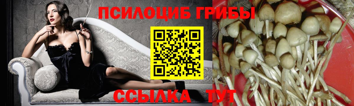 Сочи  Галлюциногенные грибы ЛСД  Вход с VPN 